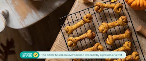 Homemade Halloween dog treats