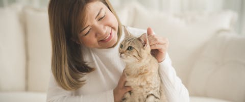 a woman in a white sweater smiling at and stroking a light tan tabby cat with blue eyes