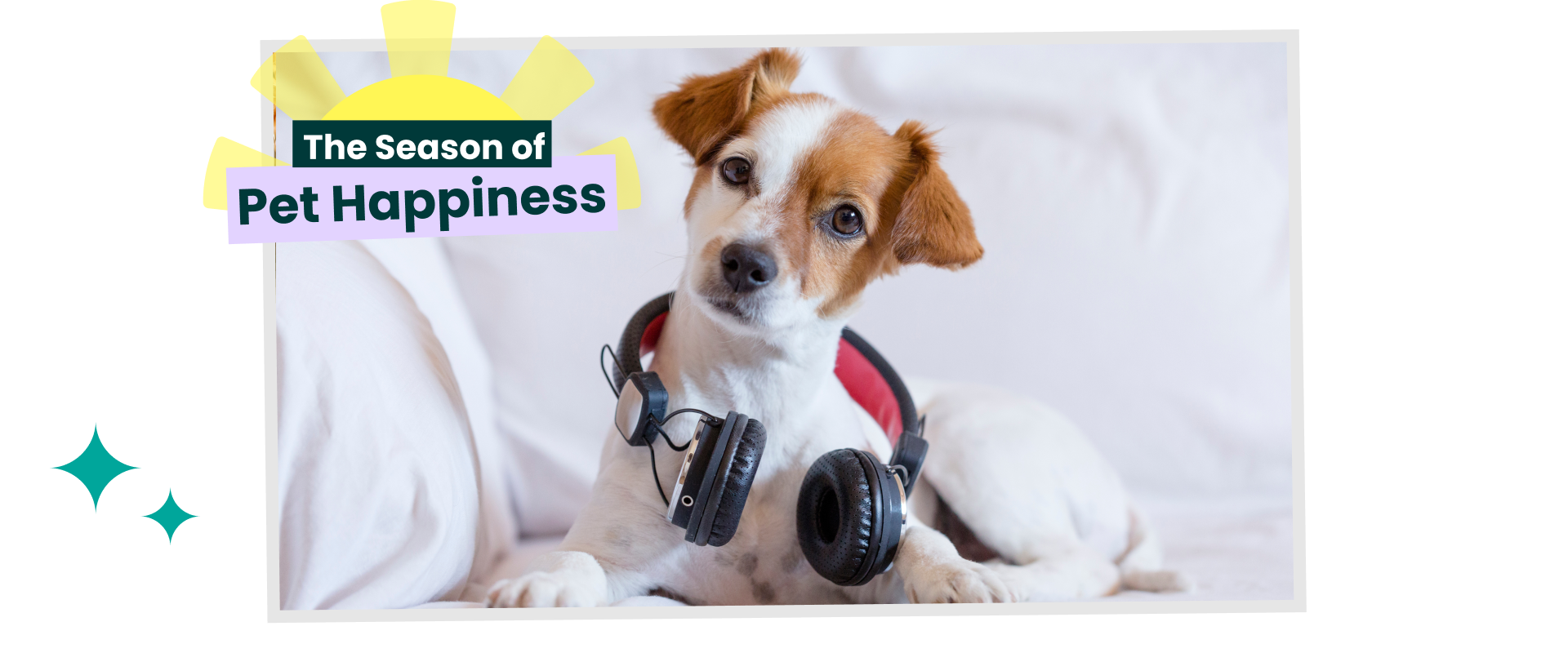 Dog with headphones