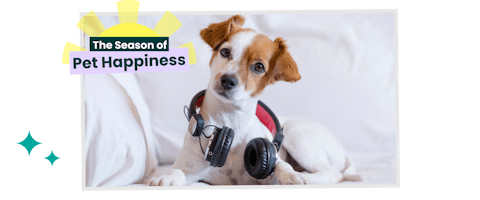 Dog with headphones