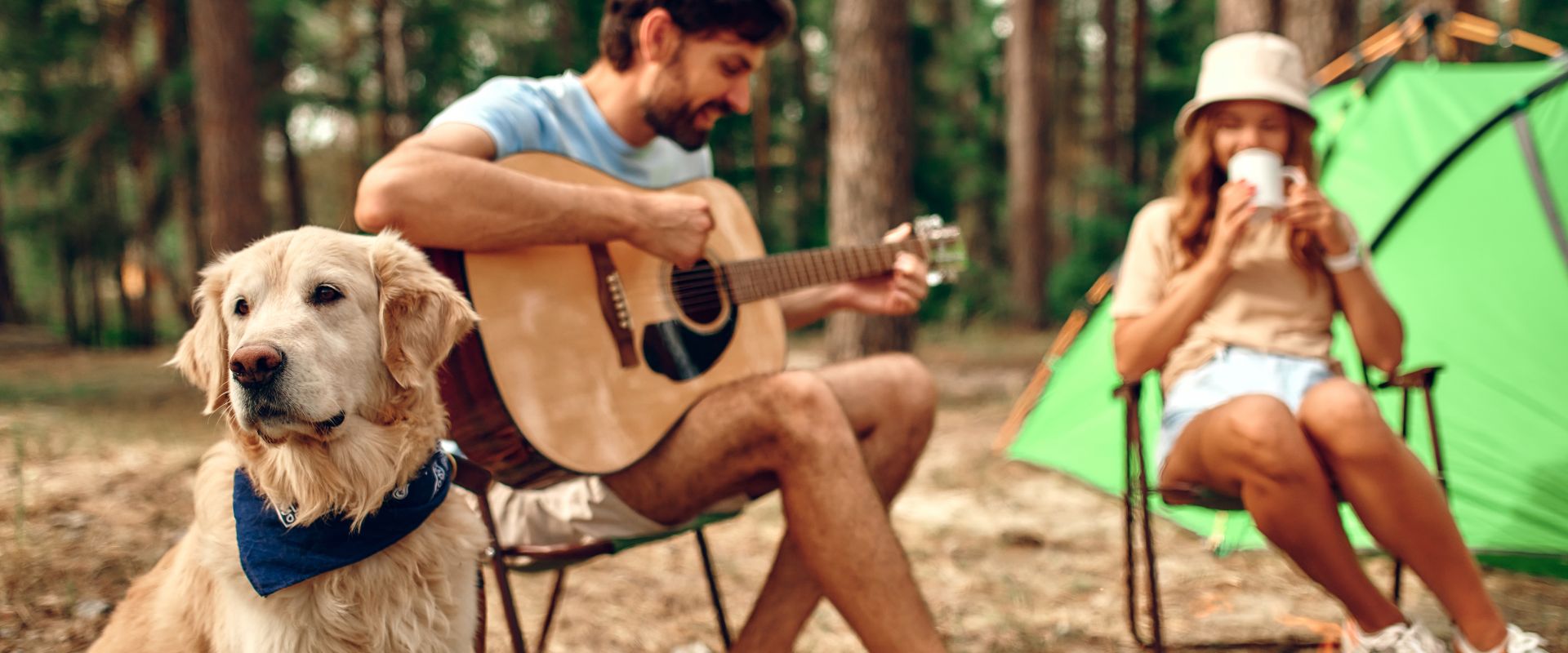 Do Dogs Like Music? | TrustedHousesitters.com