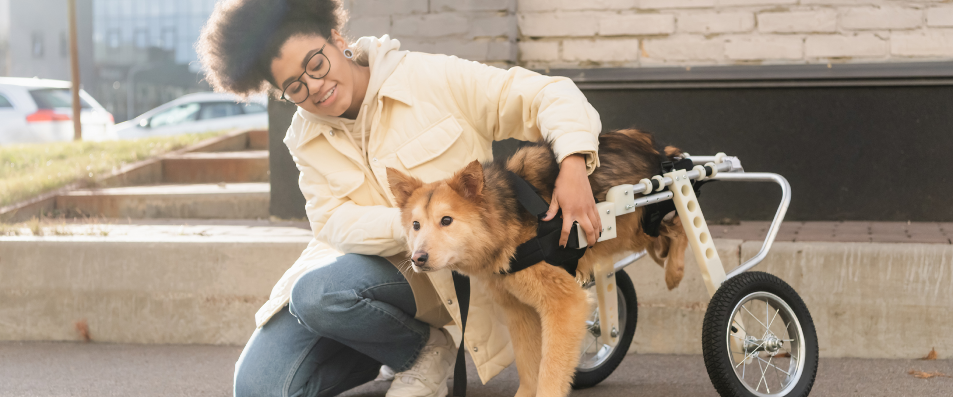 a woman kneeling next to a small dog in a wheelchair next to some stone steps