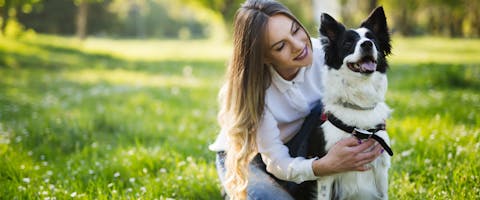 a woman with long hair hugging a collie dog sitting in a grassy park