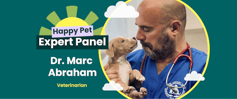 Dr Marc Abraham blog header image