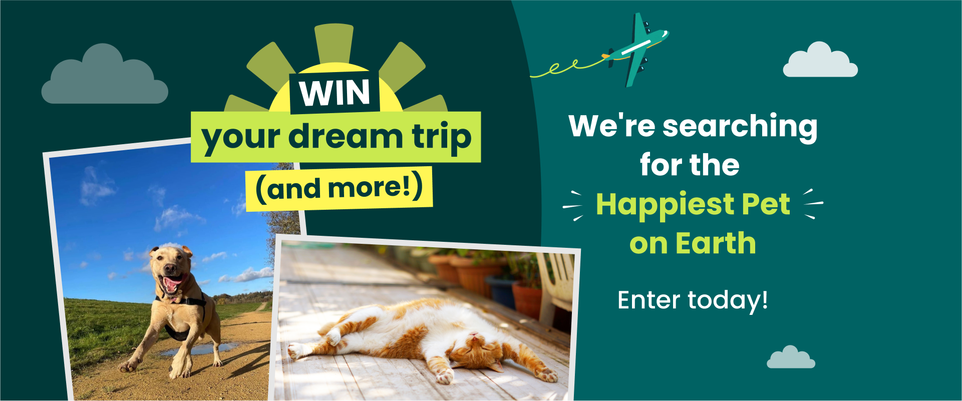 Win your dream trip (and more!) 