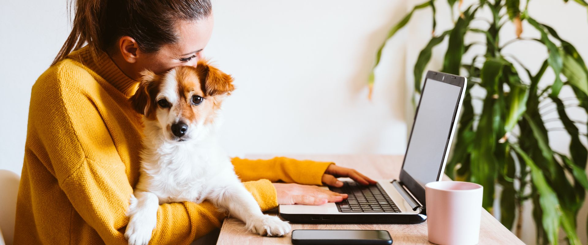 Woman writing on laptop, writing a house sitter application message with a dog on her lap