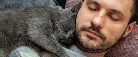 a sleeping man with a sleeping gray cat snuggled next to his head and shoulders
