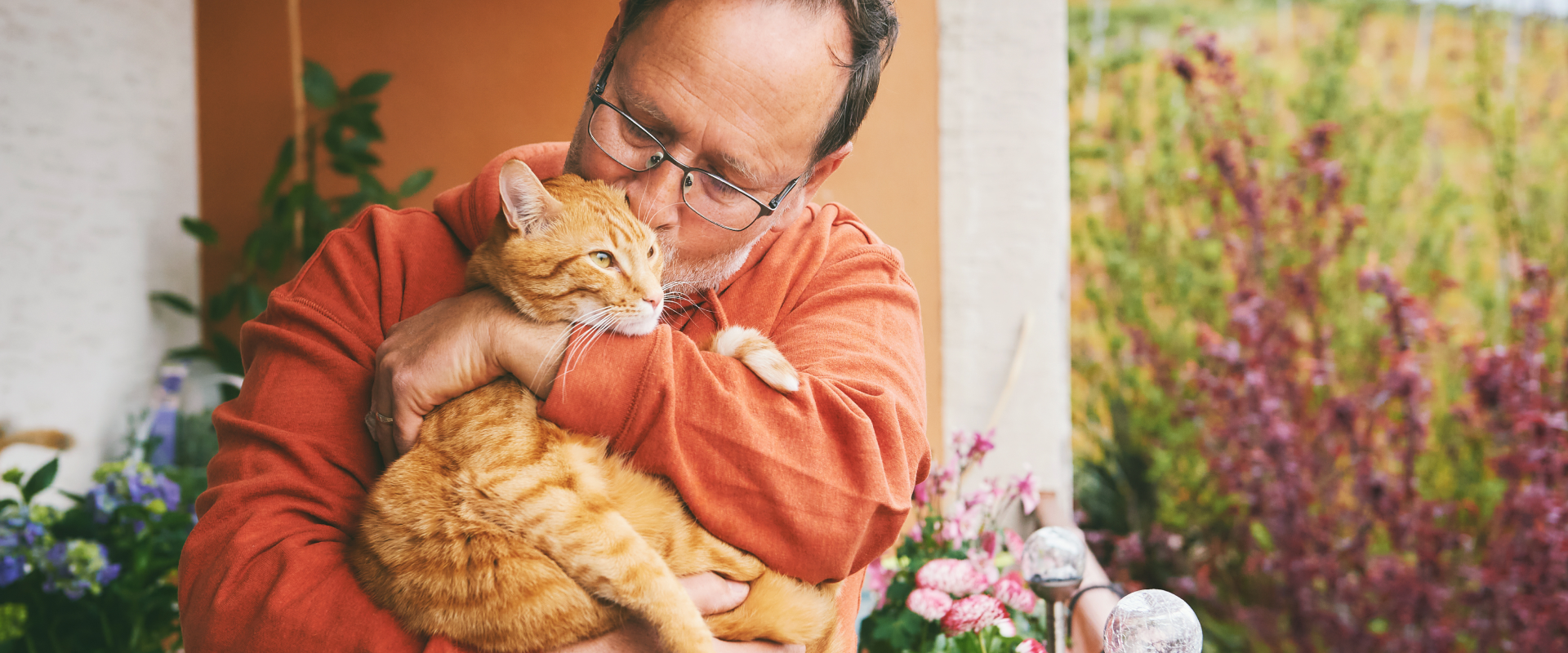 Cats as Emotional Support Animals | TrustedHousesitters.com
