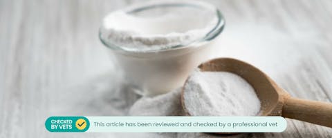 A spoonful of baking soda.