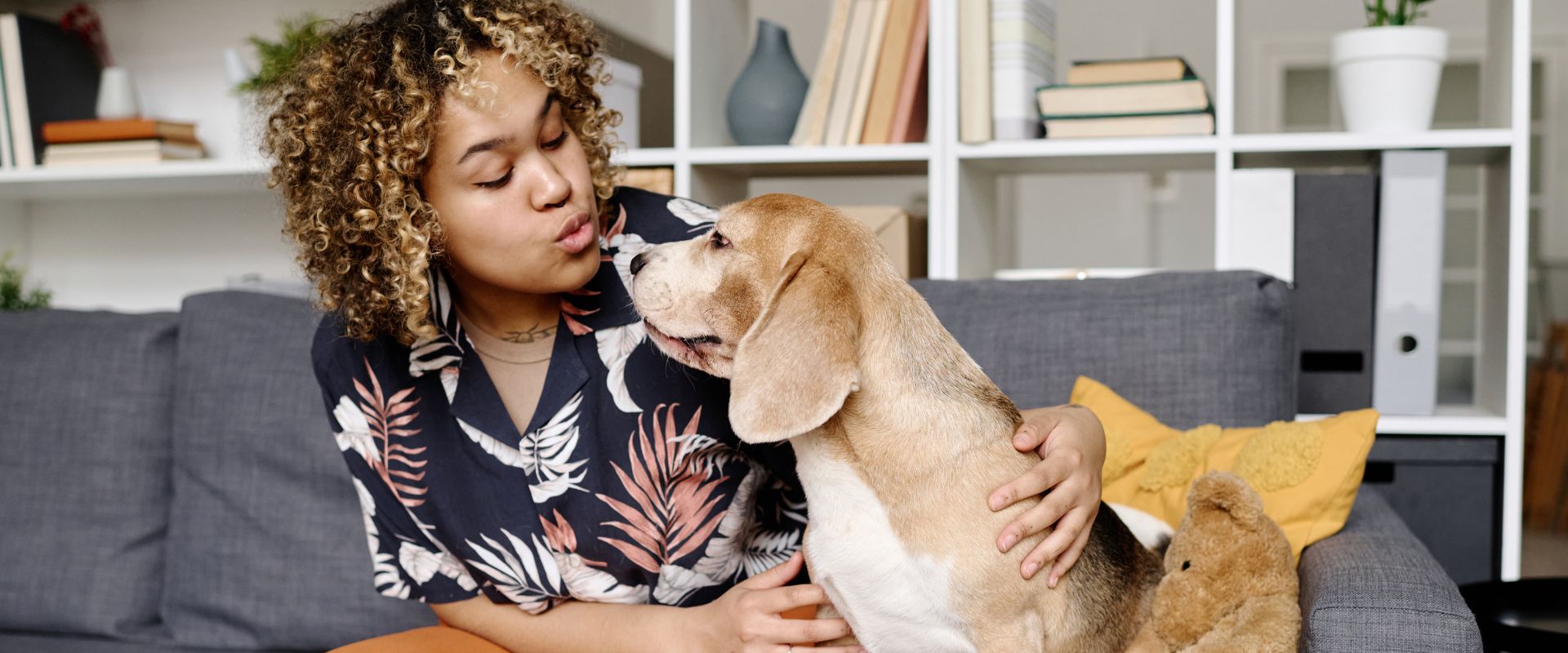 Person sat with a dog on a sofa
