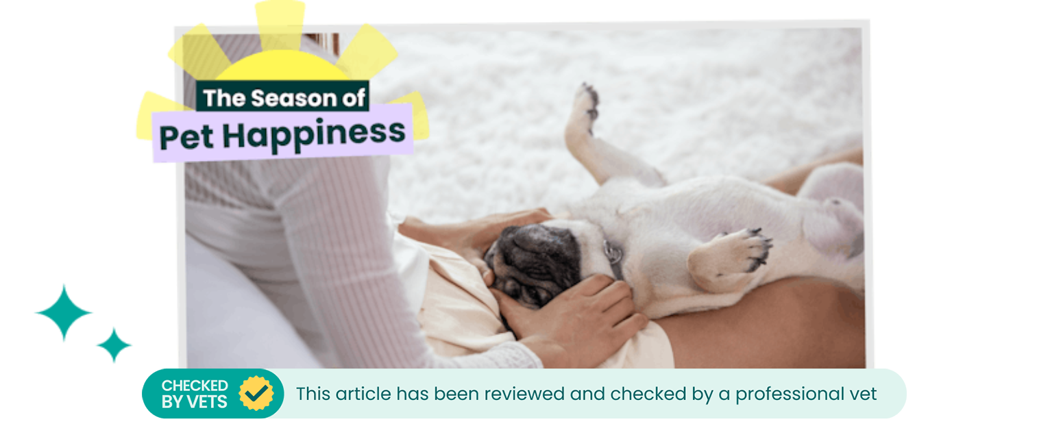 A dog receiving a massage from their pet parent.