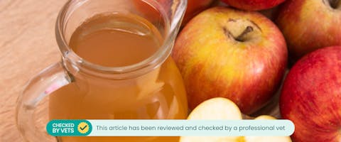 Apple cider vinegar.