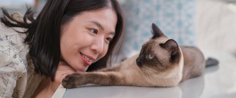 a smiling woman leaning down to face a cat lying on a table top