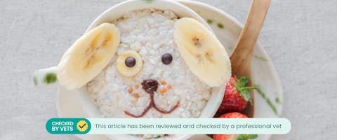 a bowl of oatmeal and banana slices designed to look like a dog's face