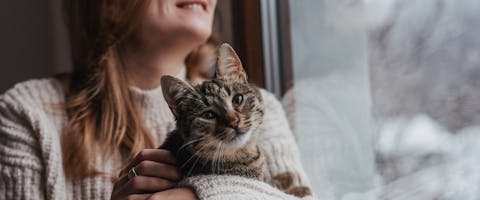 Cat bonding with their human