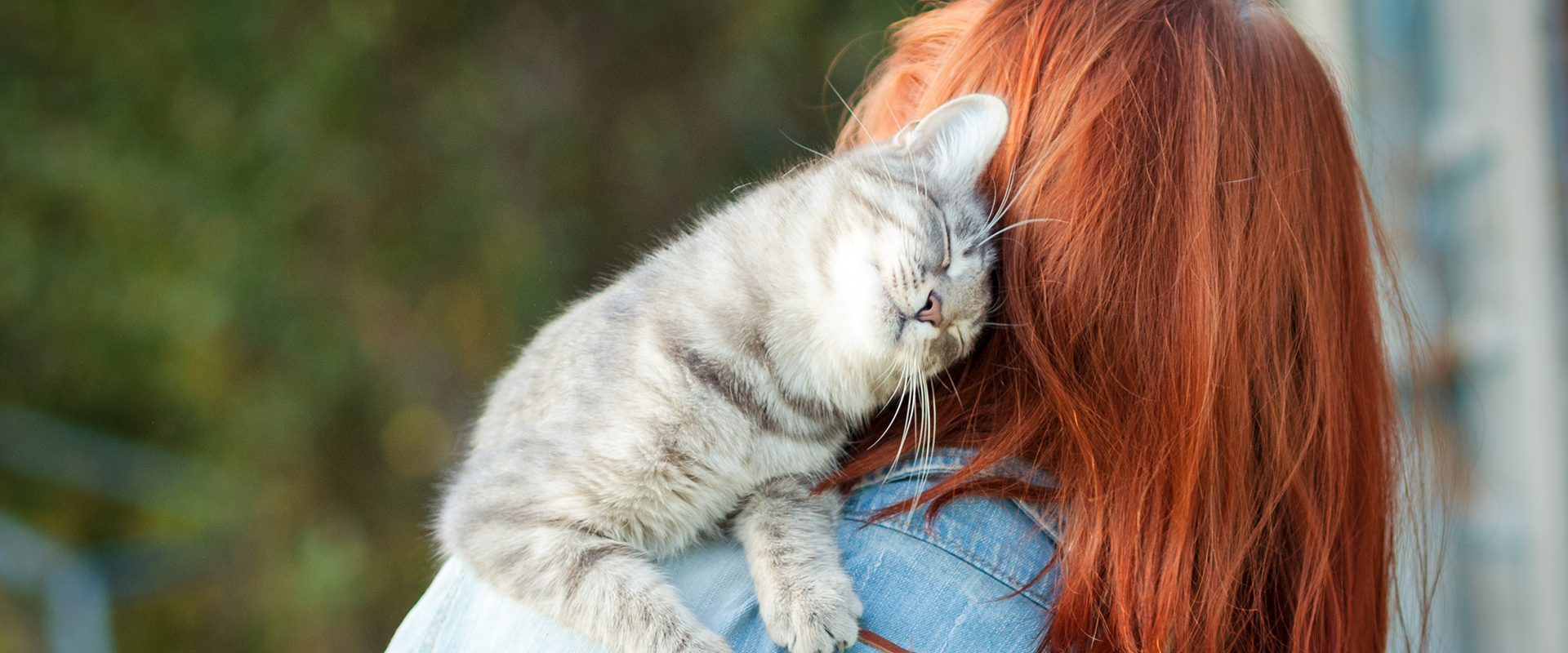 Why Does My Cat Headbutt Me?