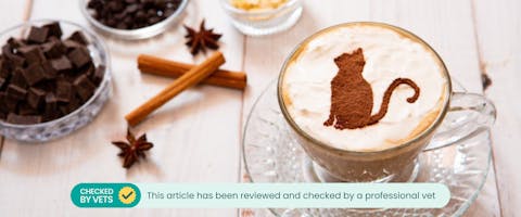 a latte with a cat drawn in powdered cinnamon on top next to sticks of cinnamon and spices