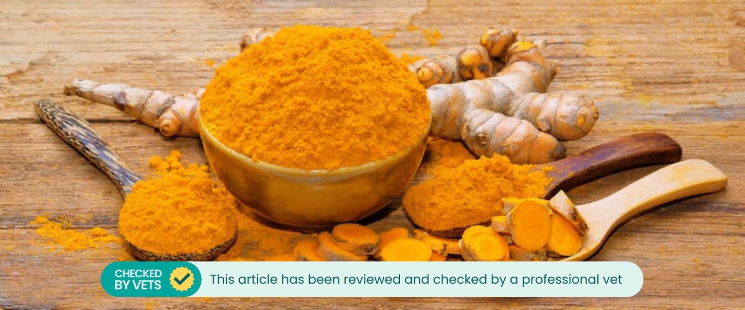 turmeric displayed on a wooden table in powdered form and natural root form on wood spoons and in wooden bowls
