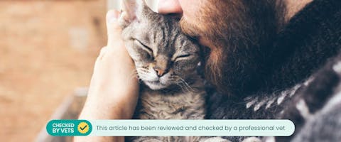 a bearded man in a woollen sweater cuddling a cat with its eyes closed and kissing its head while holding it