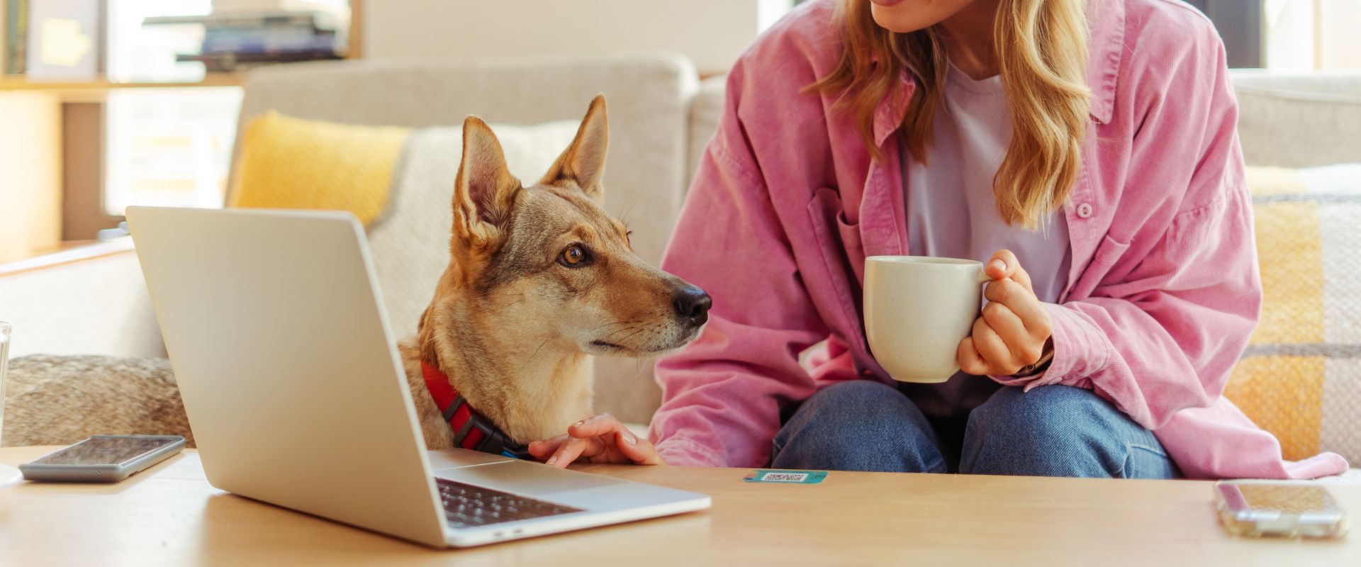 The Ultimate Guide to Working from Home with Dogs and Cats ...