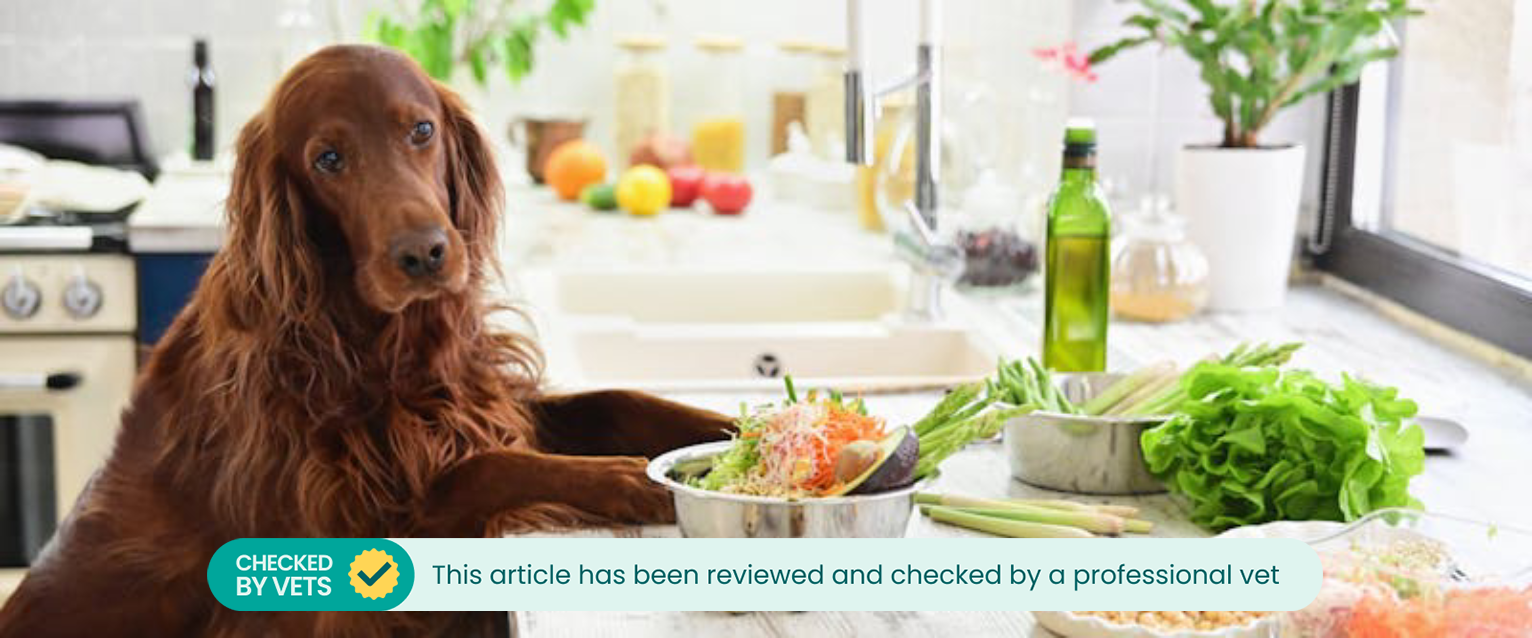 A dog helps to prepare some organic dog food.