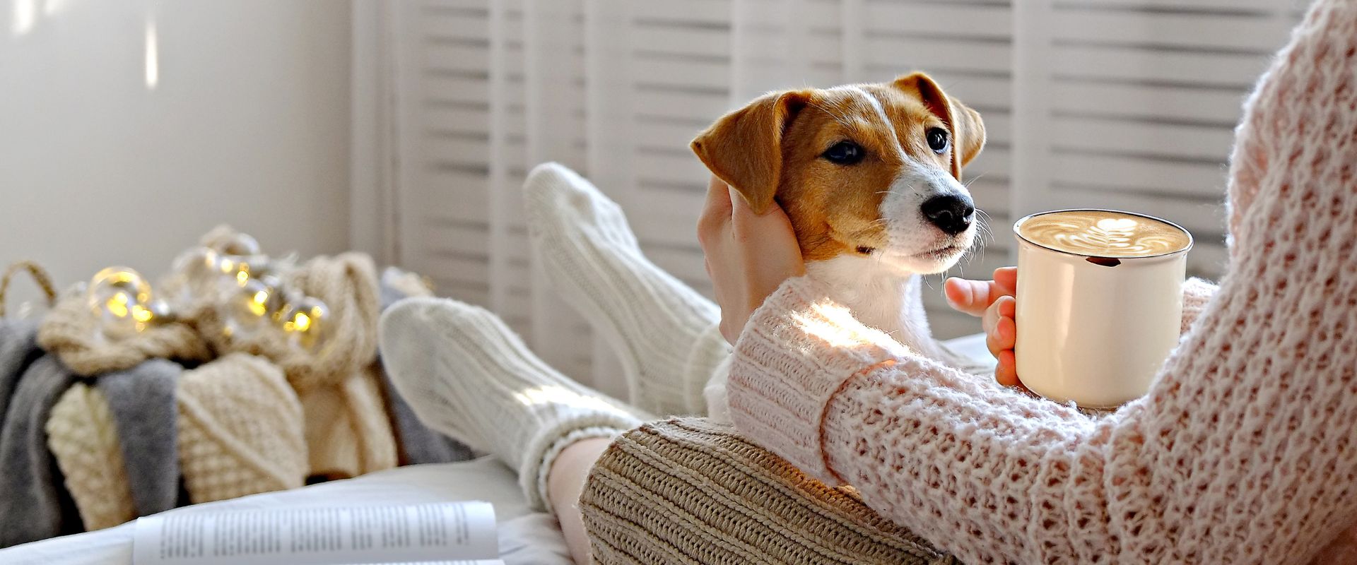 What Can Dogs Not Eat? 25 Toxic Foods for Dogs