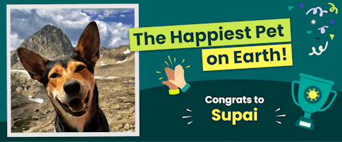 The Happiest Pet on Earth: Supai the dog