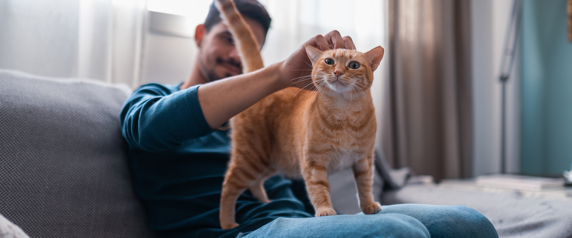 A man getting a cat's attention