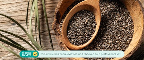 A bowl of chia seeds.