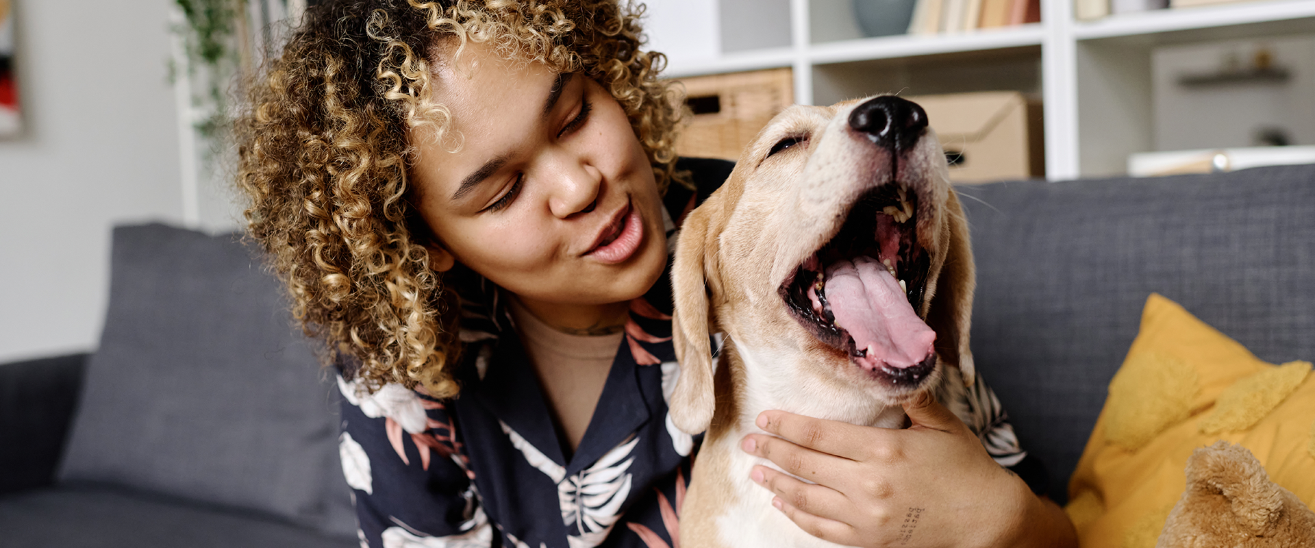 Adopting an Adult Dog | TrustedHousesitters.com