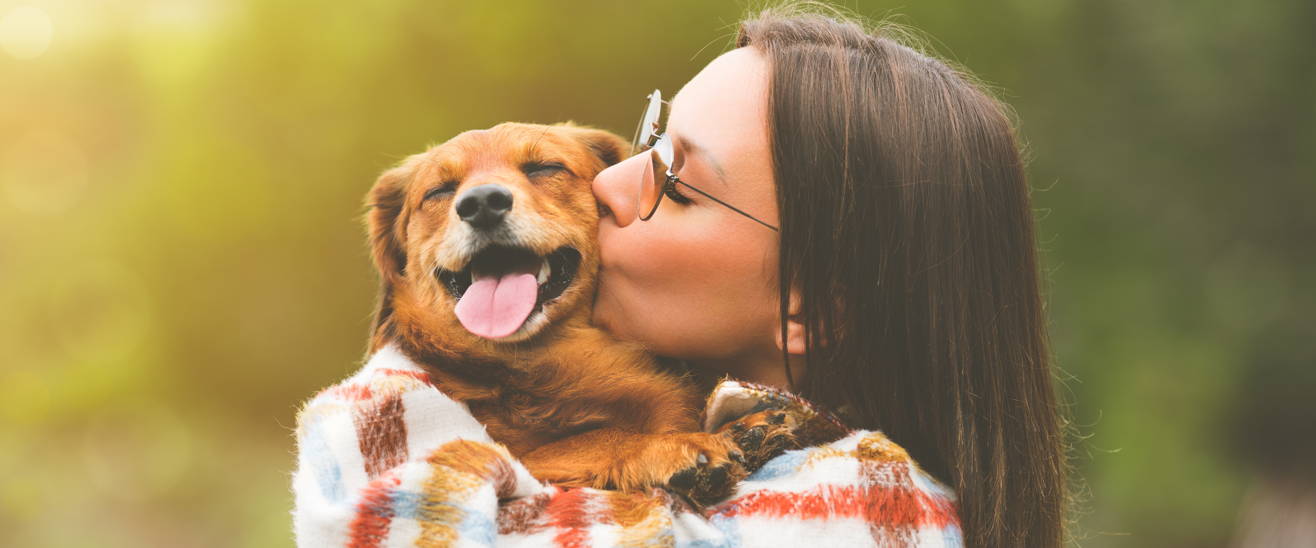 Why do Dogs Like to Cuddle? | TrustedHousesitters.com