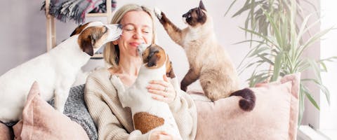 Woman on a couch being embraced by two dogs and a cat