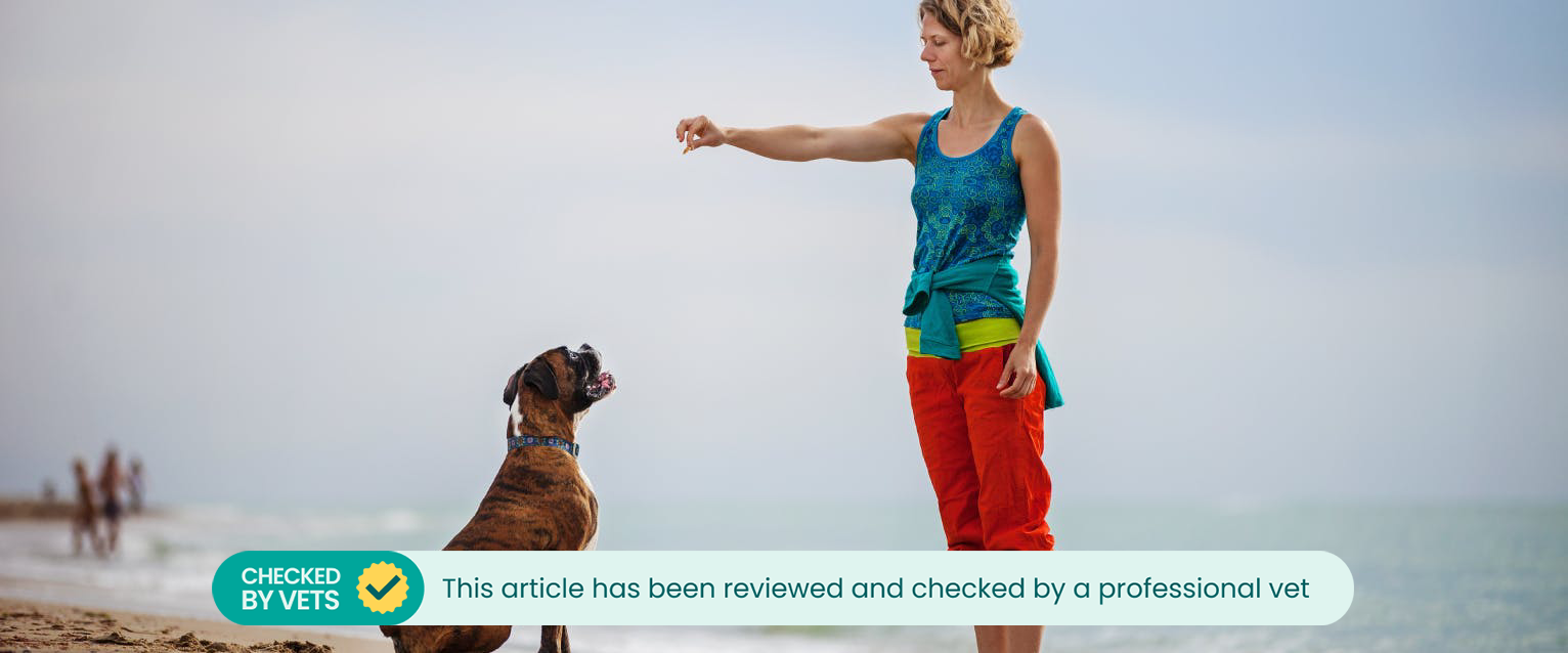 Pet parent training her dog with dog training hand signals on a beach.