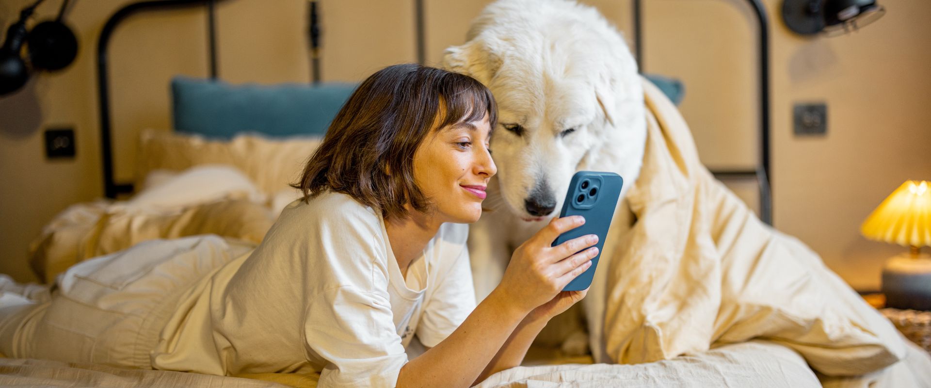 Person on their phone while laying on a bed with a large white dog
