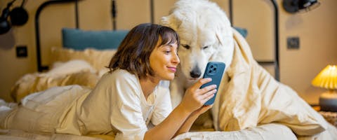 Person on their phone while laying on a bed with a large white dog