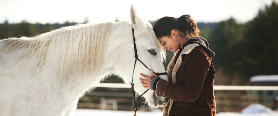 A woman caring for a horse.