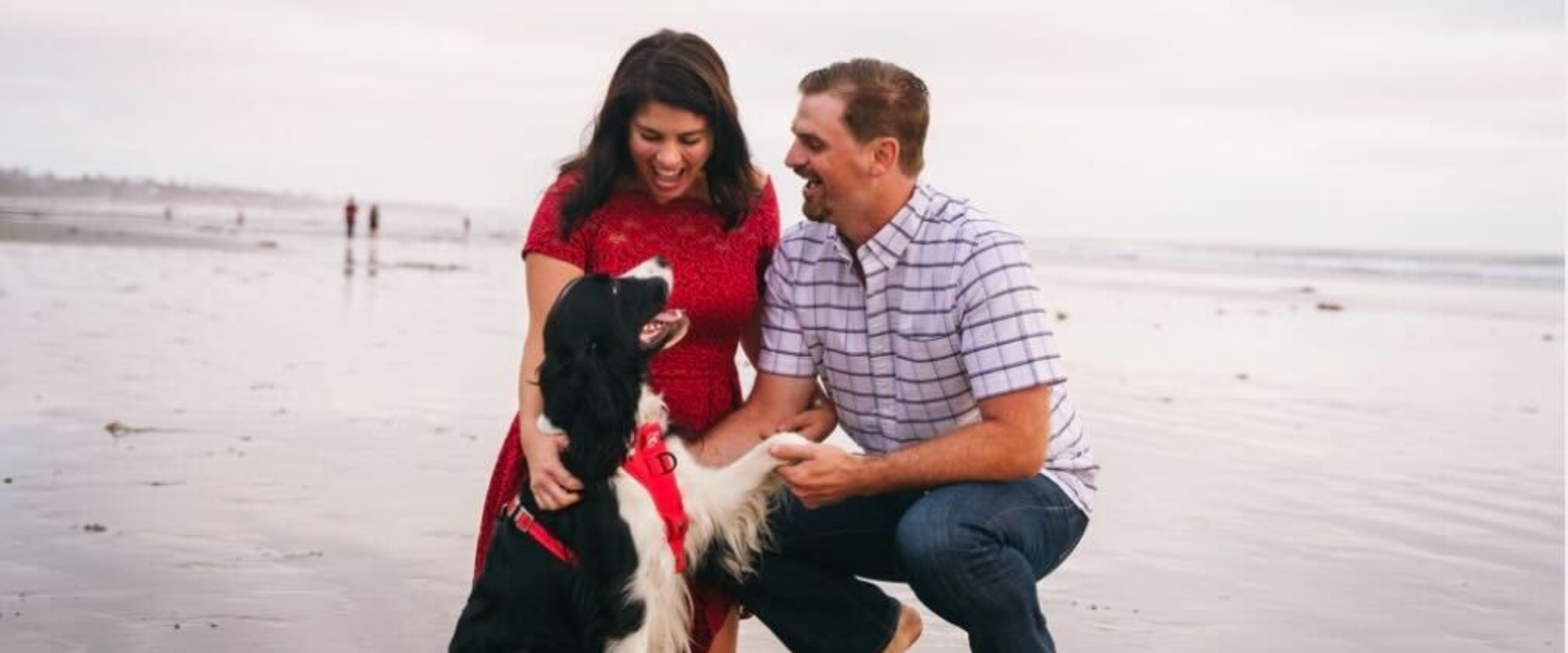 Kelly, Matt, and Zorro.