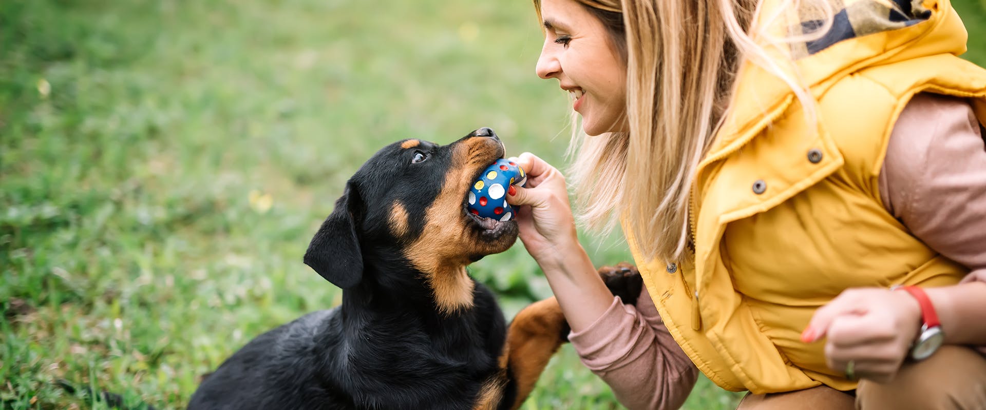 A woman playing ball with a small Rottweiler puppy