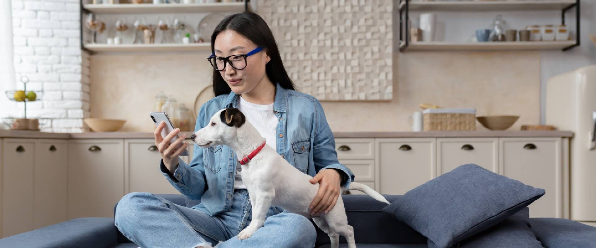 Woman sitting on sofa at home and using phone with a dog