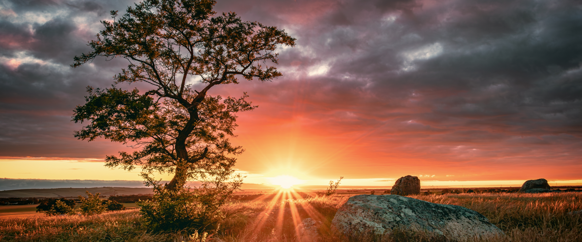 a landscape shot of a sunrise over a field with a tree in foreground near Geelong