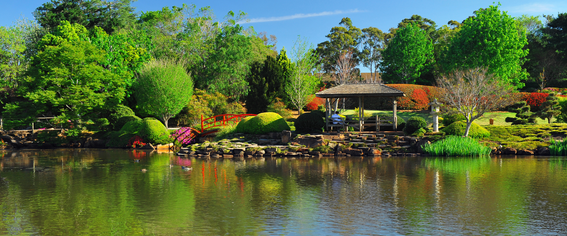 a lakeside view of the Japanese gardens in Queens Park, Toowoomba
