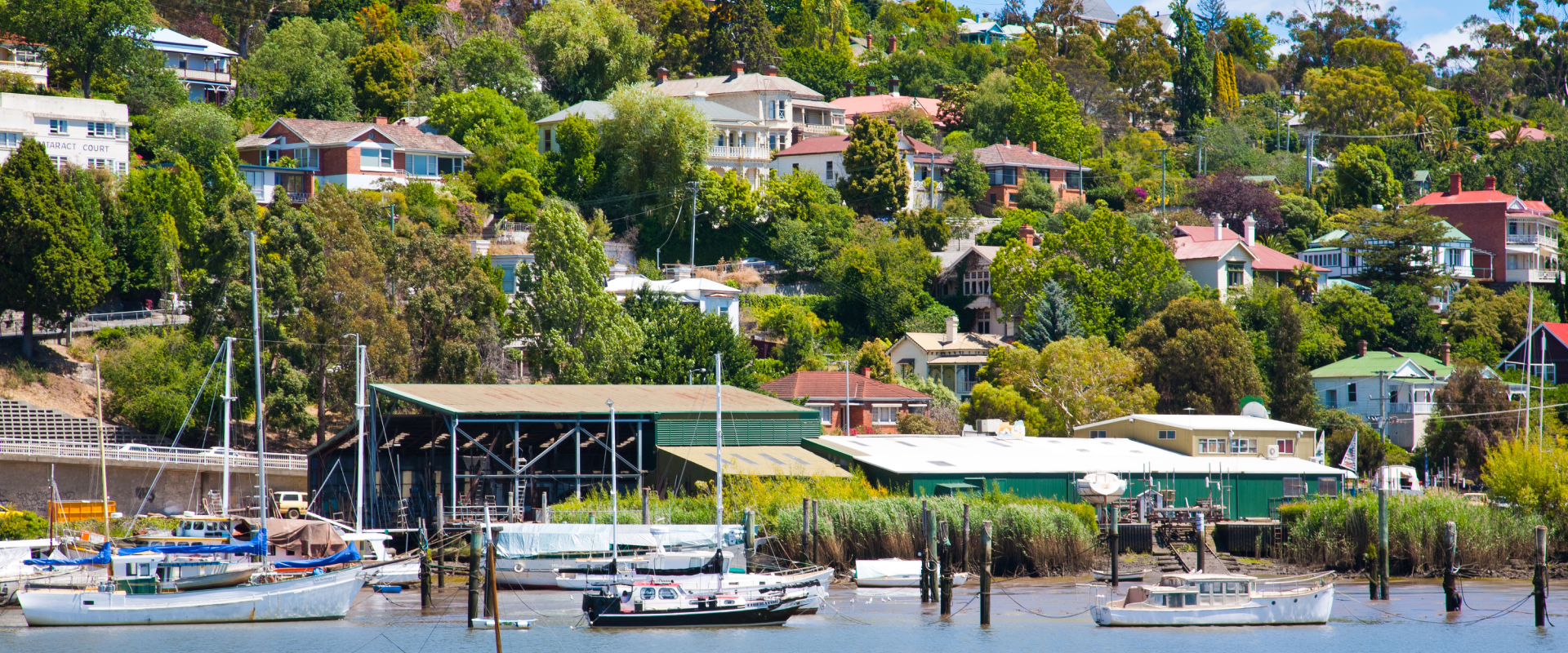 a view of dog friendly Launceston by the river of one of its marinas