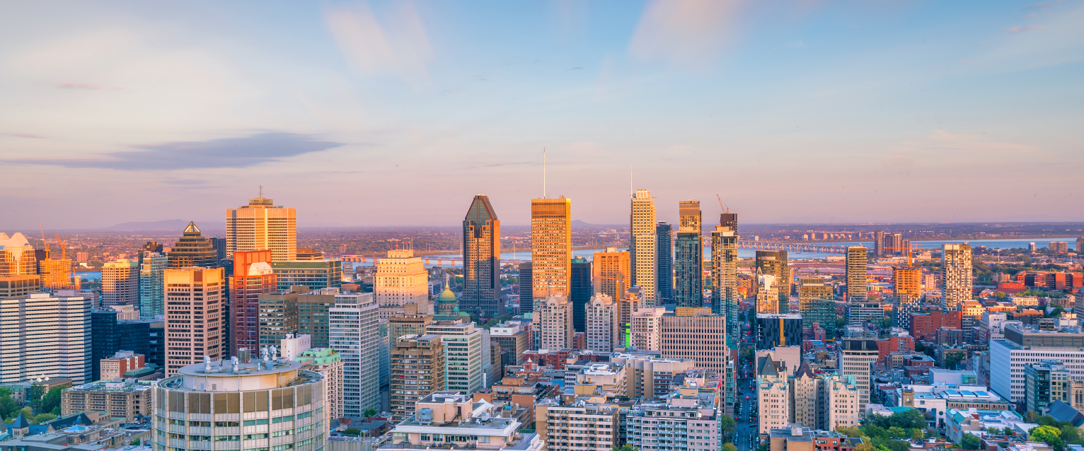 dog-friendly Montréal