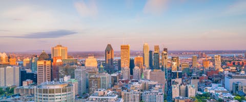 dog-friendly Montréal