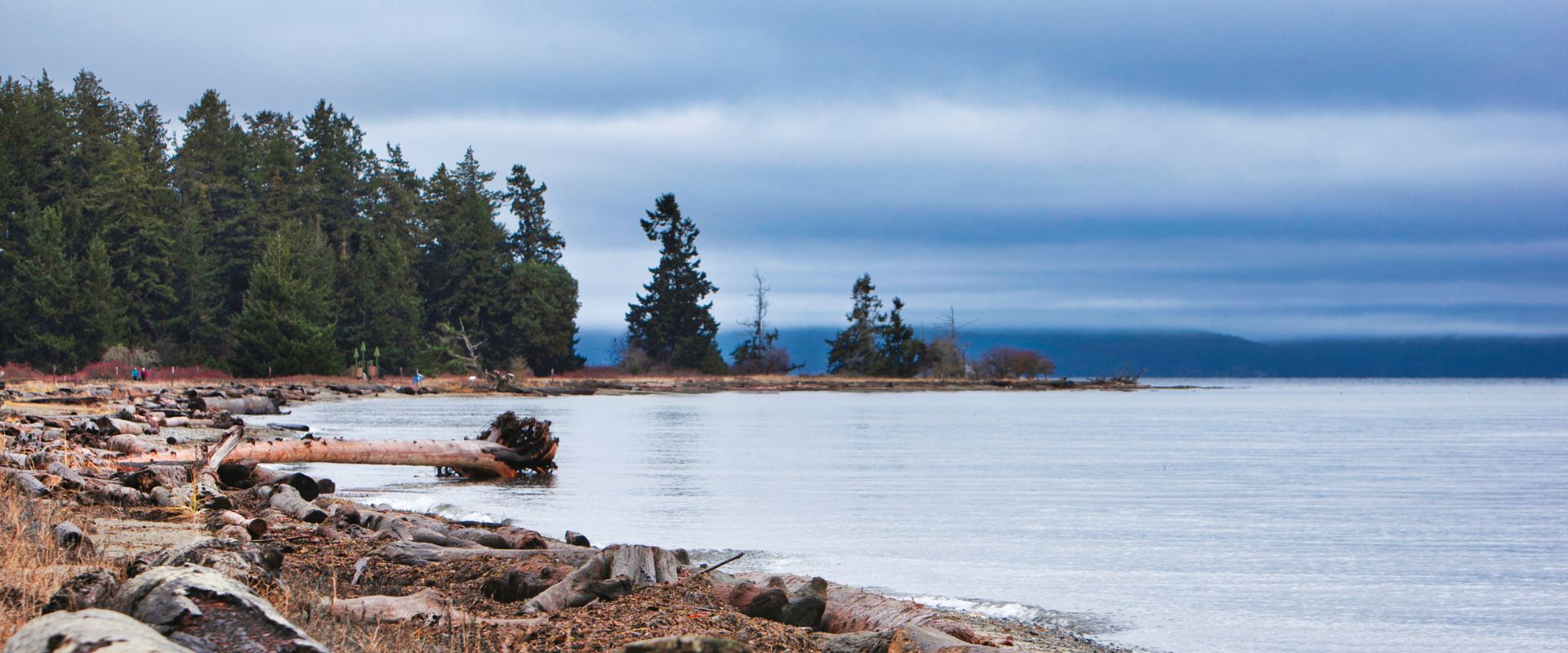 Rathtrevor Beach, Parksville, Vancouver Island, British Colombia, Canada