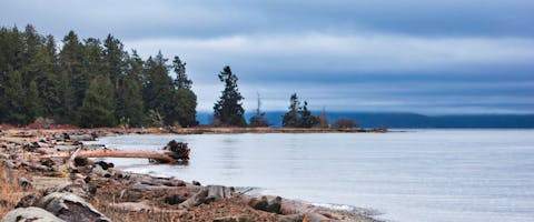 Rathtrevor Beach, Parksville, Vancouver Island, British Colombia, Canada