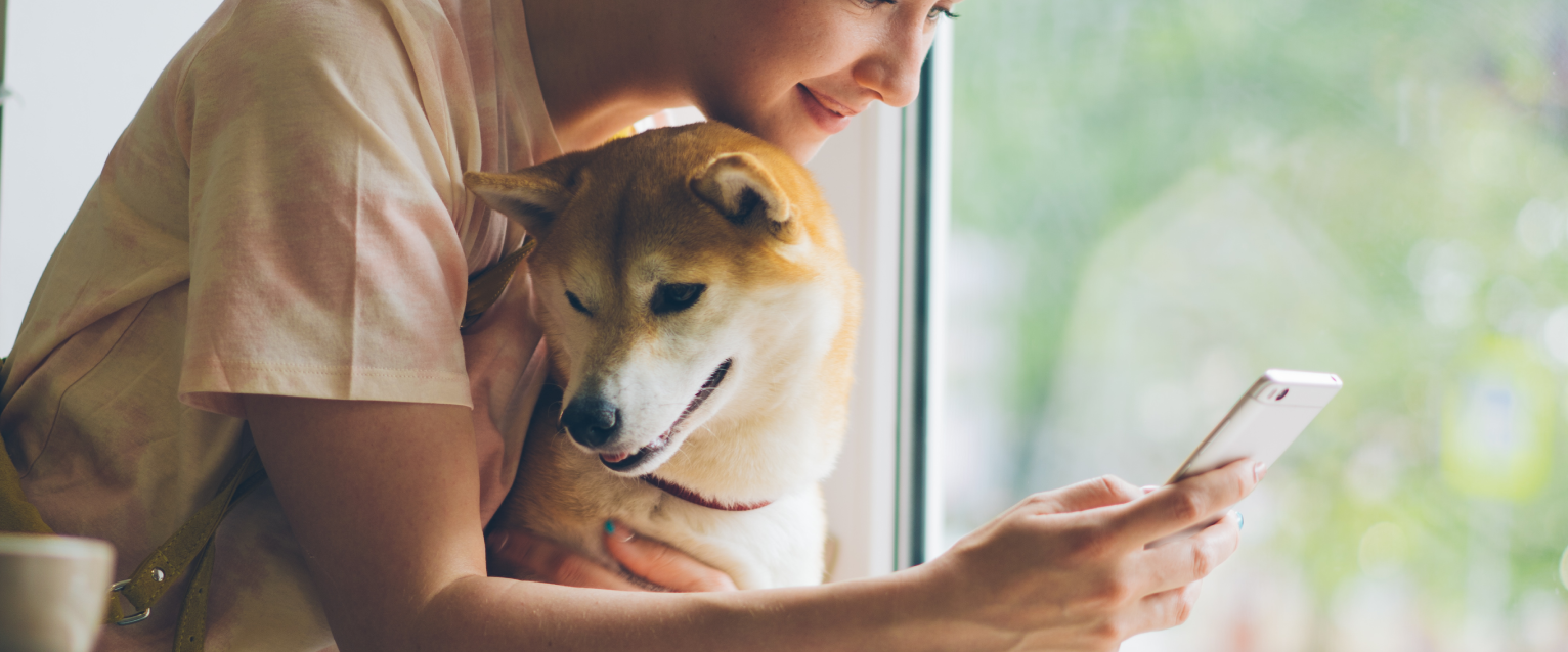 Dog Friendly Edmonton: Things To Do in Edmonton With a Dog ...
