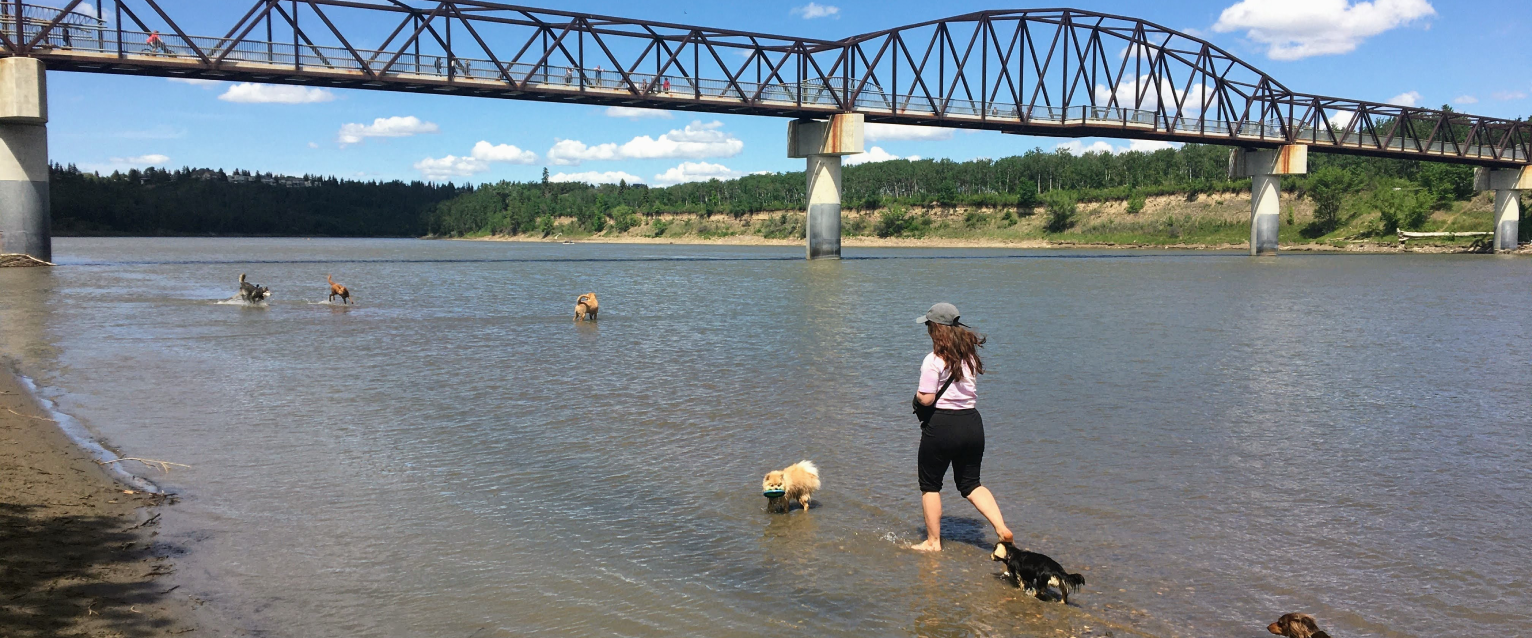 Dog Friendly Edmonton: Things To Do in Edmonton With a Dog ...