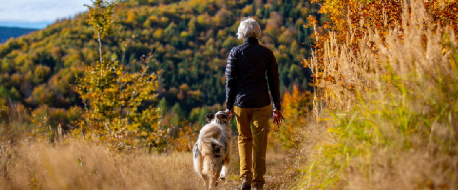 Dog Friendly Edmonton: Things To Do in Edmonton With a Dog ...
