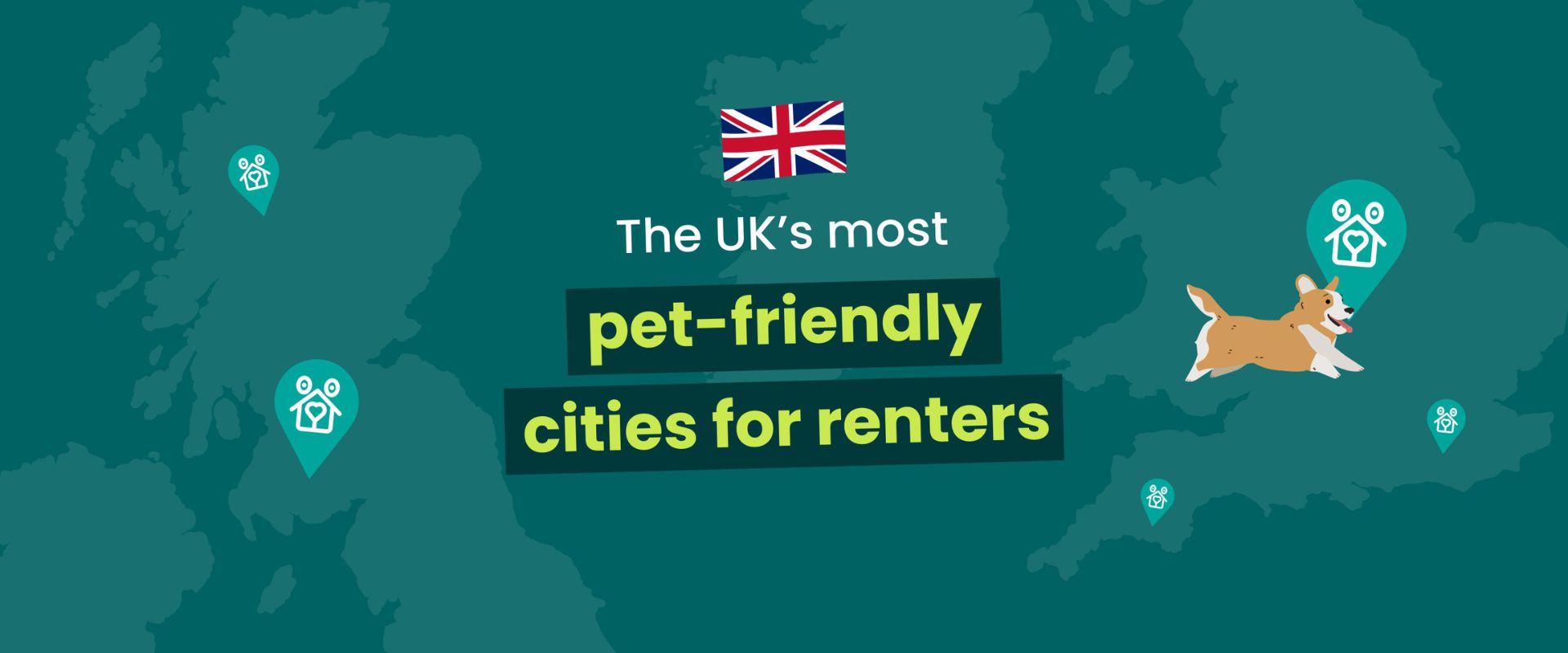 Pets and renting banner image